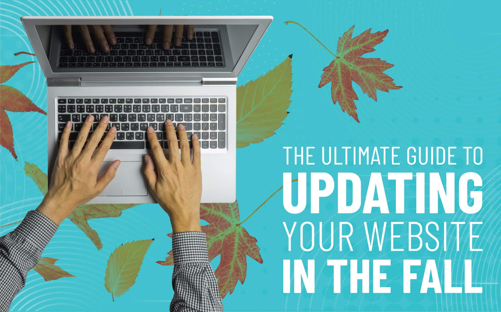 The Ultimate Guide to Updating Your Website in the Fall | Image with text for blog The Ultimate Guide to Updating Your Website in the Fall | PMC Media Group